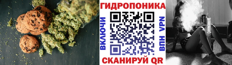 гидра ссылка  хочу наркоту  Цивильск  Печенье с ТГК конопля 
