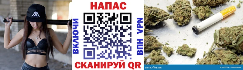 Бошки марихуана OG Kush  где найти наркотики  Цивильск 